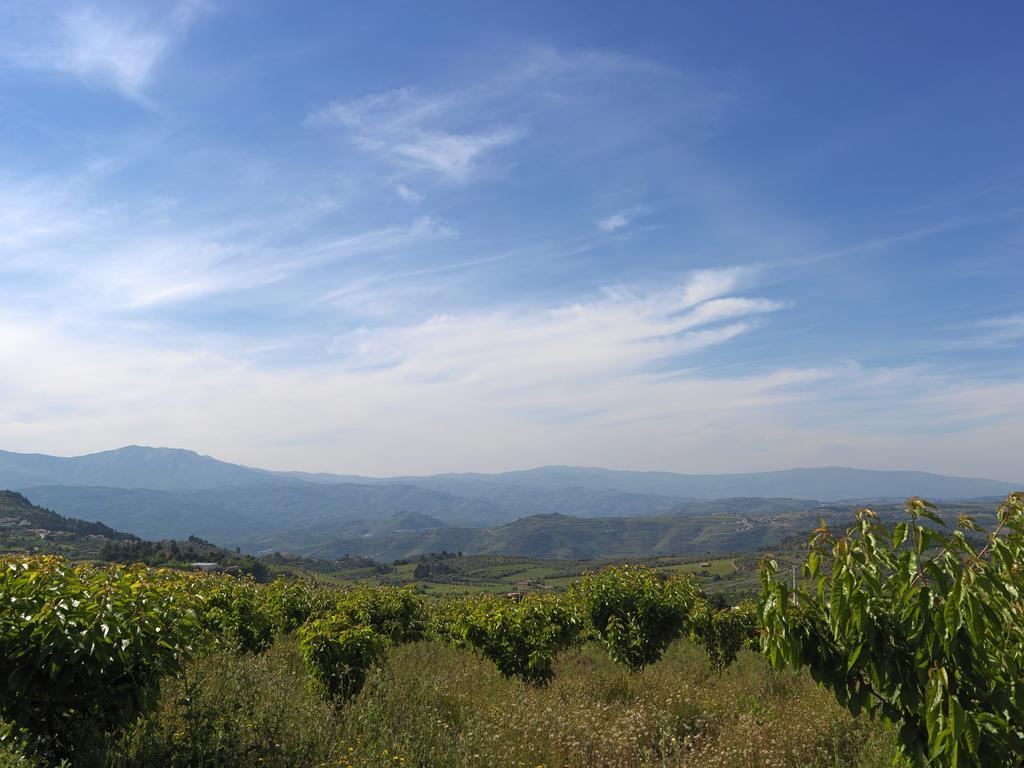 Вілла Quinta Da Pereira Армамар Екстер'єр фото